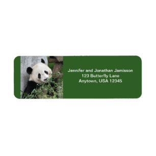 Étiquettes d'adresse de retour Panda, Vert