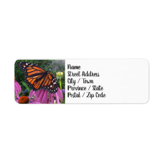 Étiquettes d'adresse de retour - Papillon Monarque
