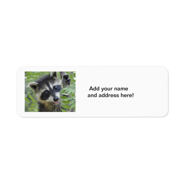 Étiquettes d'adresse de retour Raccoon (Devant)
