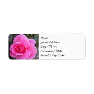 Étiquettes d'adresse de retour - Rose rose