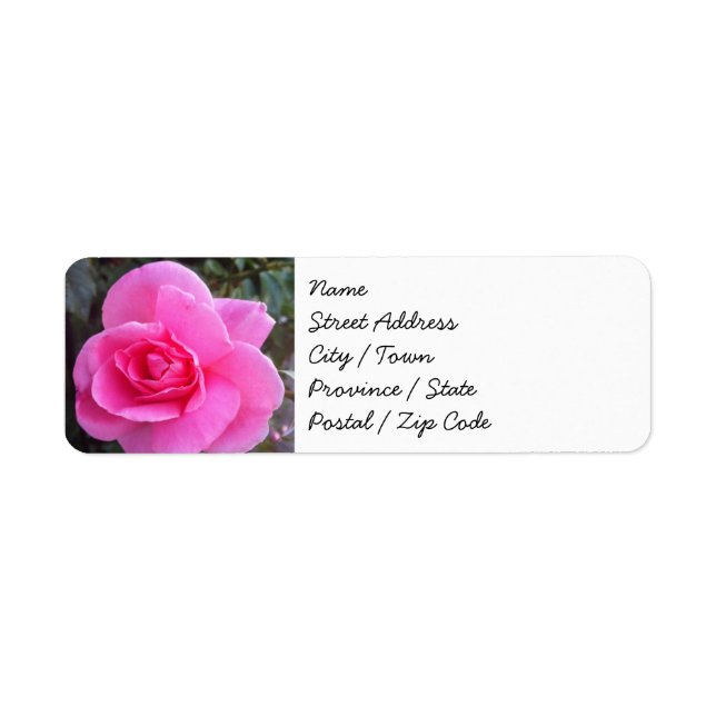 Étiquettes d'adresse de retour - Rose rose (Devant)