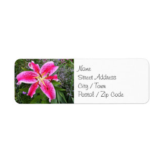 Étiquettes d'adresse de retour - Stargazer Lily