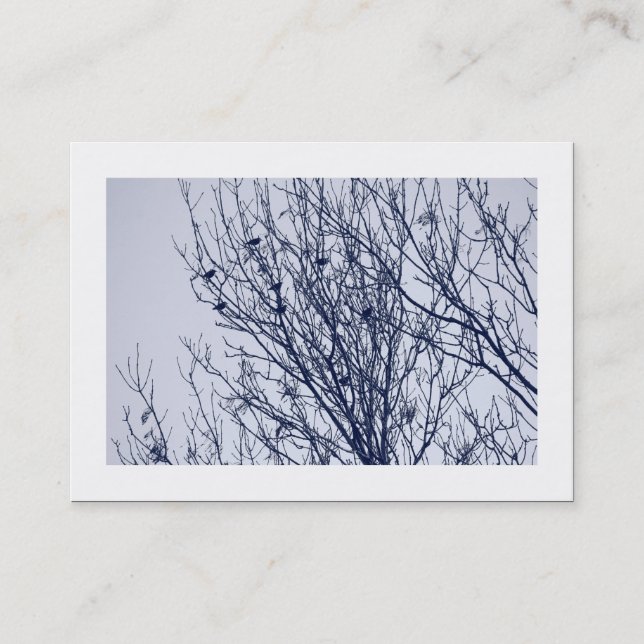 Étiquettes dans un arbre (ordonnées) (Devant)