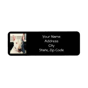 Étiquettes de adresse anglais de bull-terrier