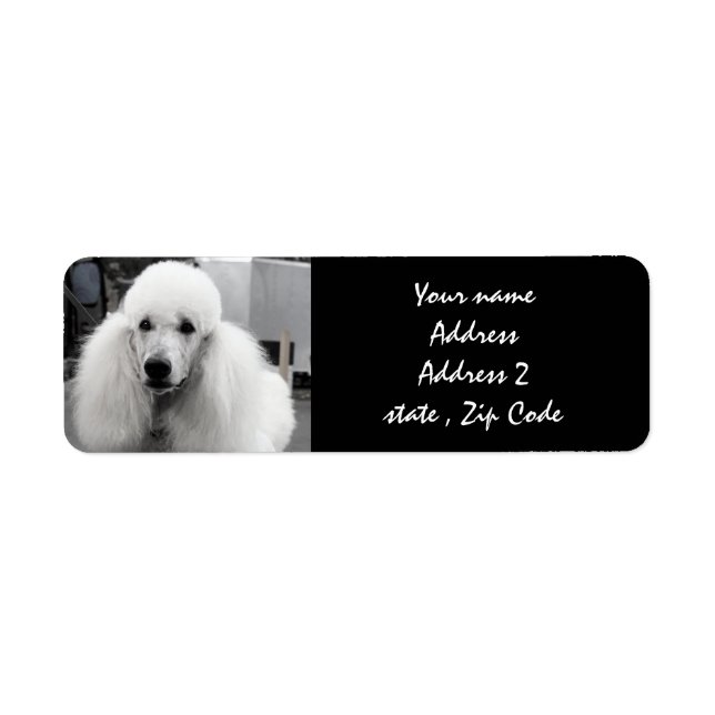 Étiquettes de adresse blancs de caniche (Devant)