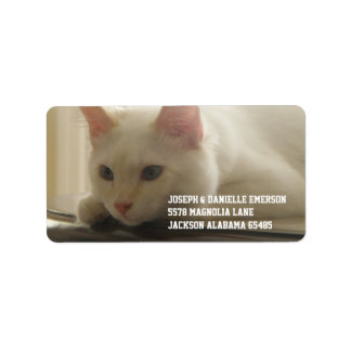 Étiquettes de adresse blancs Kitty