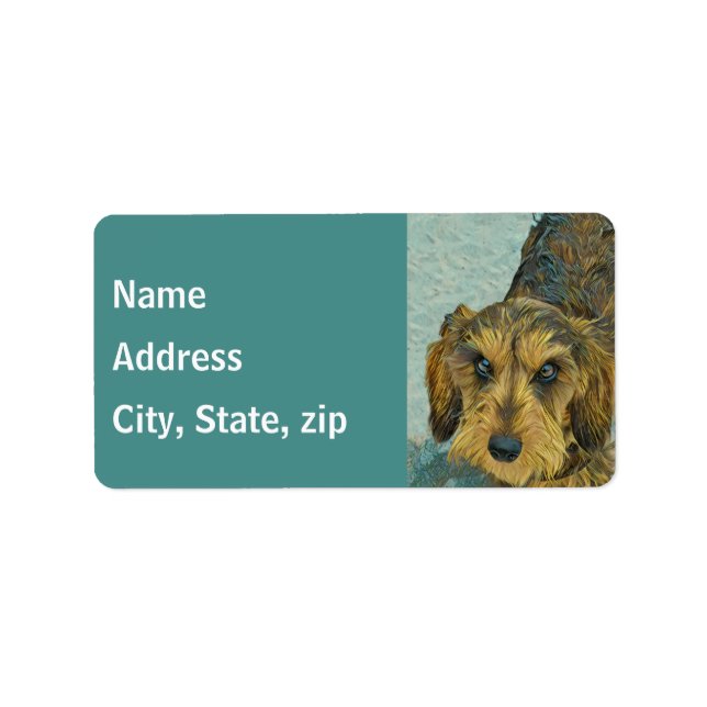 Étiquettes de adresse Dachshund (Devant)