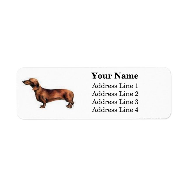 Étiquettes de adresse Dachshund (Devant)