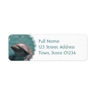 Étiquettes de adresse dauphins mignons