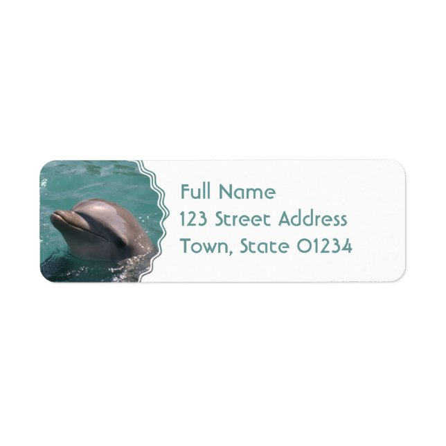 Étiquettes de adresse dauphins mignons (Devant)