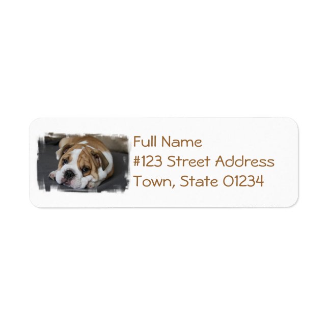 Étiquettes de adresse de Bulldog endormis (Devant)