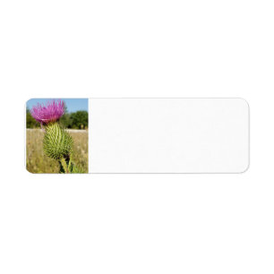 étiquettes de adresse de chardon de Burdock