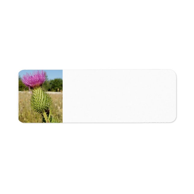 Étiquettes de adresse de chardon de Burdock (Devant)