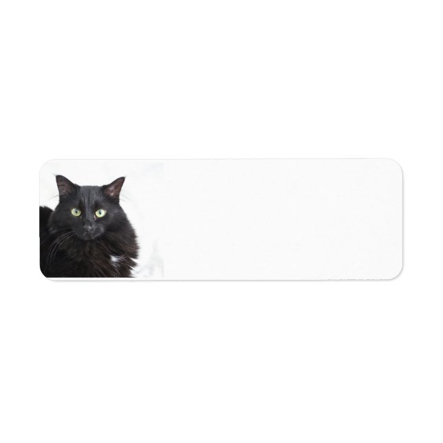 Étiquettes de adresse de chats noirs (Devant)