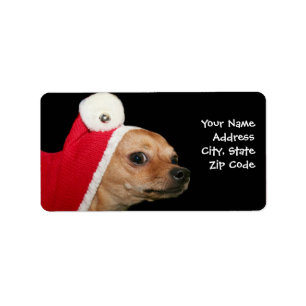 Étiquettes de adresse de chien de chiwawa de Noë