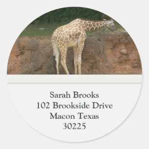 Étiquettes de adresse de girafes
