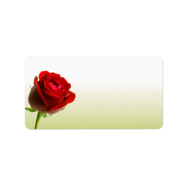 Étiquettes de adresse de la Rose rouge (Devant)