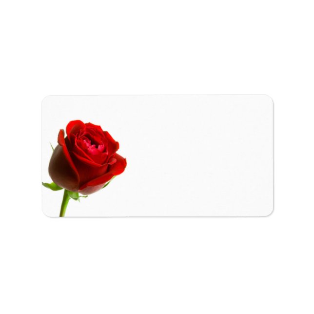 Étiquettes de adresse de la Rose rouge (Devant)