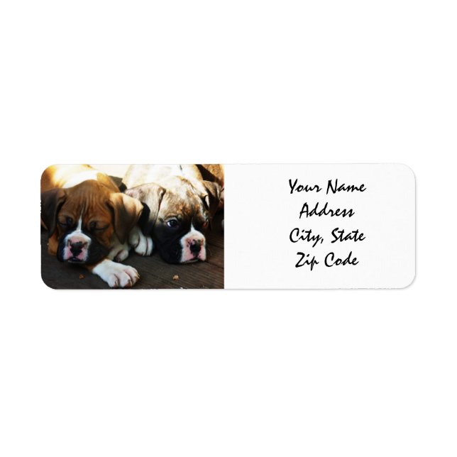 Étiquettes de adresse de marionnettes Boxer (Devant)