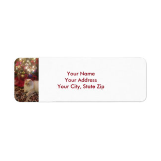 Étiquettes de adresse de Noël
