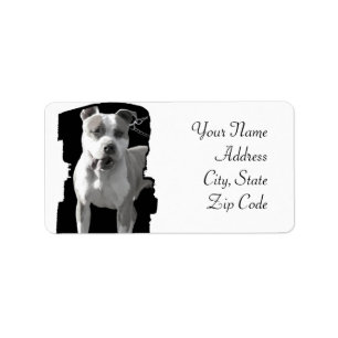 Étiquettes de adresse de Pitbull