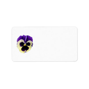 Étiquettes de adresse de purple et de pury jaune