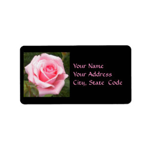 Étiquettes de adresse de rose de rose