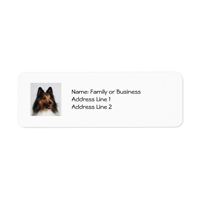 Étiquettes de adresse de Sheltie (Devant)