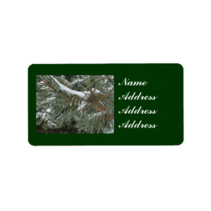 Étiquettes de adresse d'hiver