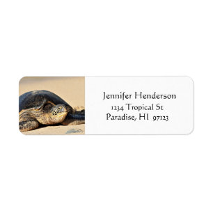Étiquettes de adresse hawaïens de tortue de mer