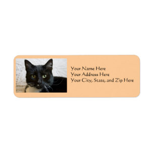 Étiquettes de adresse : Lilly le chat