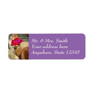 Étiquettes de adresse mignons de retour d'alpaga