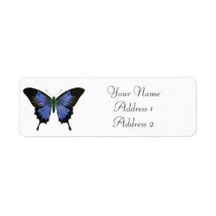 Étiquettes de adresse papillon bleu