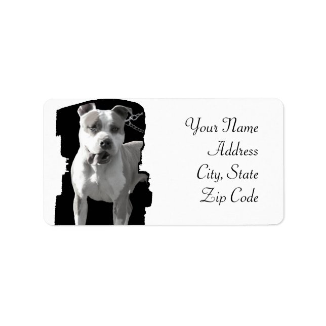 Étiquettes de adresse Pitbull (Devant)