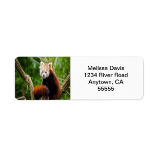 Étiquettes de adresse Red Panda