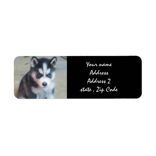 Étiquettes de adresse sibériens Husky Puppy (Devant)