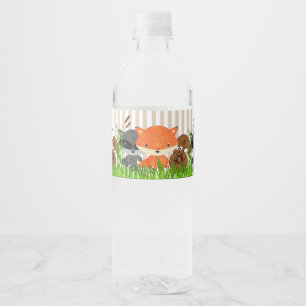 Étiquettes de bouteille d'eau de baby shower de