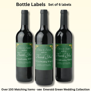 Étiquettes de bouteilles de vin mousseux, vert éme