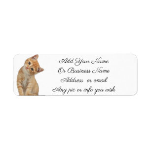 Étiquettes de chaton