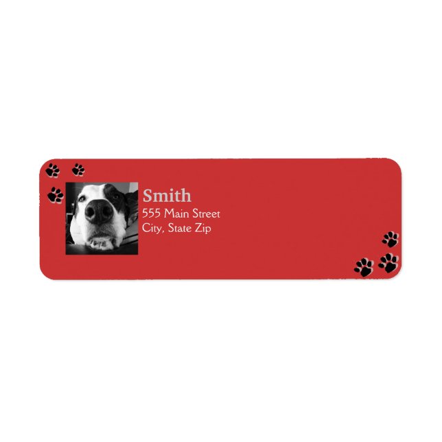 Étiquettes de chiens (Devant)