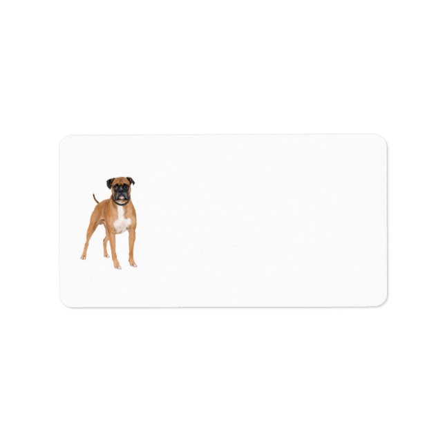 Étiquettes de chiens de boxe (Devant)