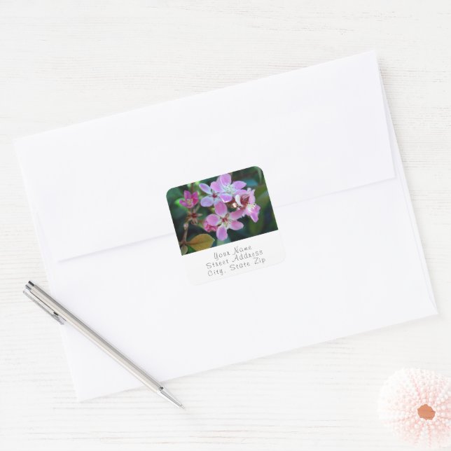 Étiquettes de fleurs de ballerine rose (Enveloppe)