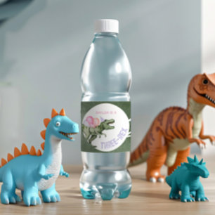 Étiquettes de la bouteille d'eau Dinosaur pour fil