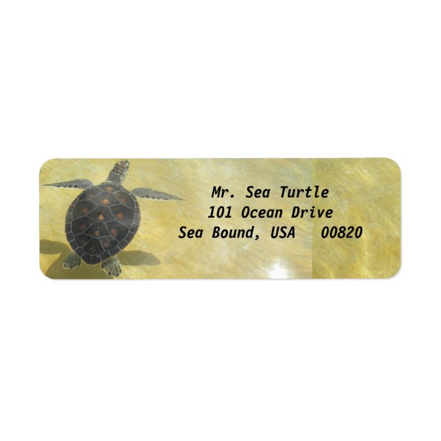 Étiquettes de la marine tortue (Devant)