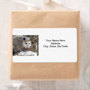 Étiquettes de la nature Opossum