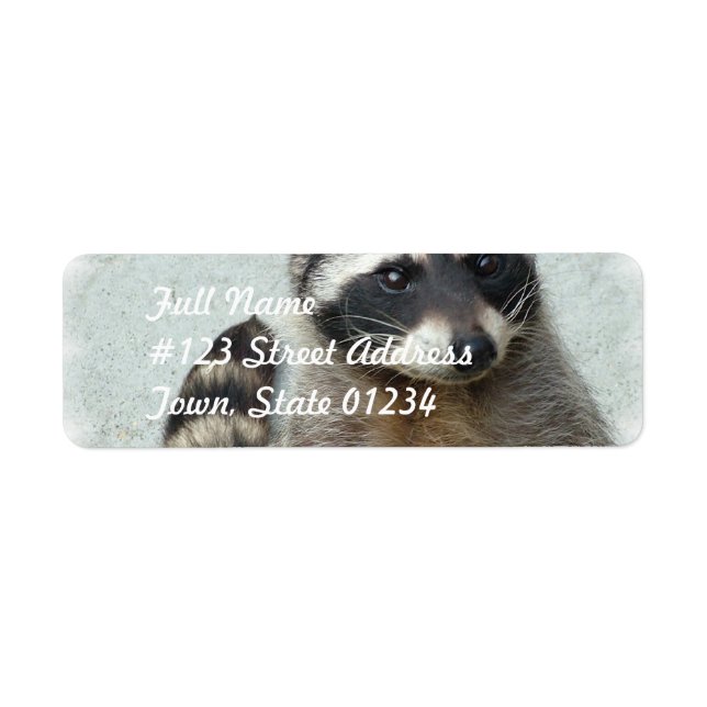 Étiquettes de la poste de Raccoon à anneau (Devant)