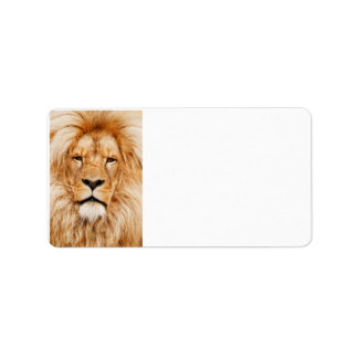 Étiquettes de lions