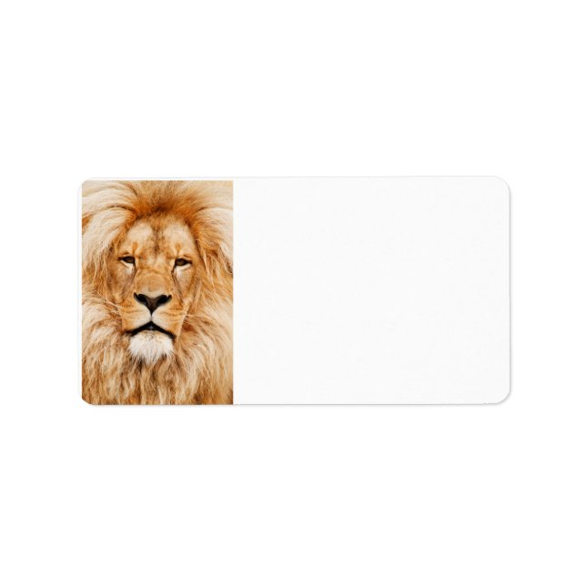 Étiquettes de lions (Devant)