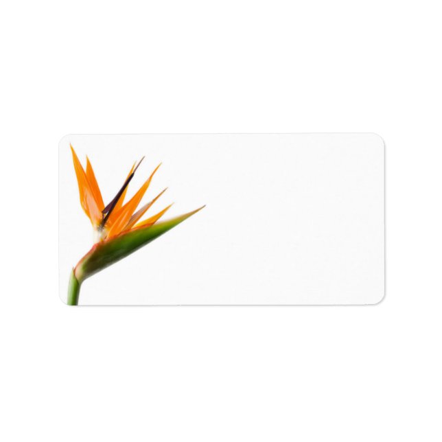 Étiquettes de mariage de l'Oiseau du Paradis (Devant)