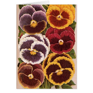 Étiquettes de paquets de graines vintage, fleurs d